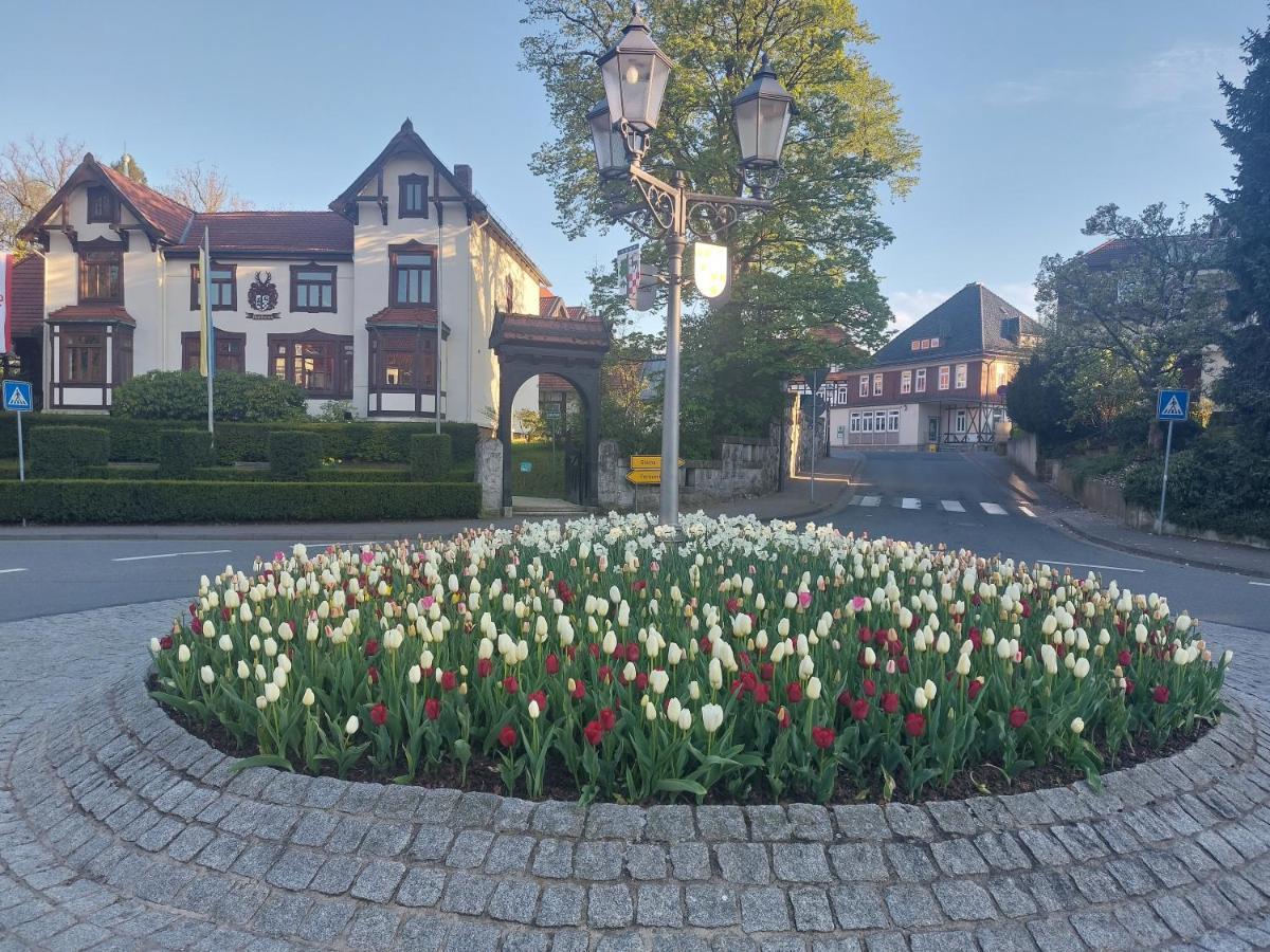 Ferienwohnung Sweety Haus Sachsensteinblick Bad Sachsa Eksteriør billede